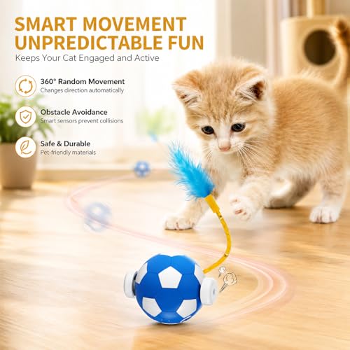Cat Enrichment Toy (C -Blue)