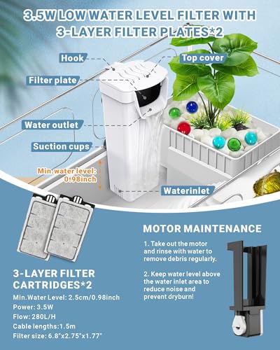 Small Turtle Tank Kit