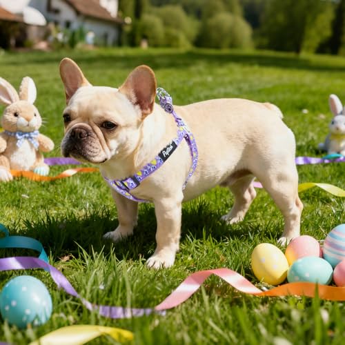 No Pull Dog Harness Medium Sized Step (Bright Purple(Rabbit) / Medium)