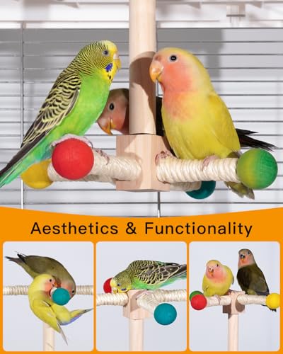 Bird Perch Toy