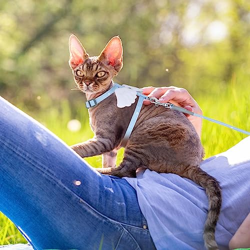 Cat Harness and Leash Set (Sky Blue)