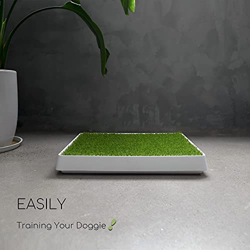 Dog Grass Pad with Tray (Dogs Potty)