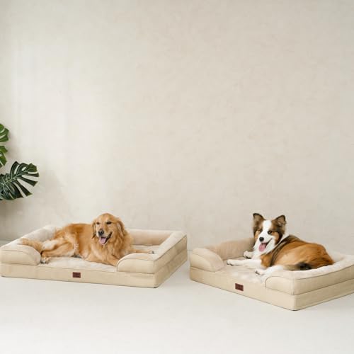 Orthopedic XXL Dog Bed (Graige / 48.0"l X 35.0"w X 8.0"th)