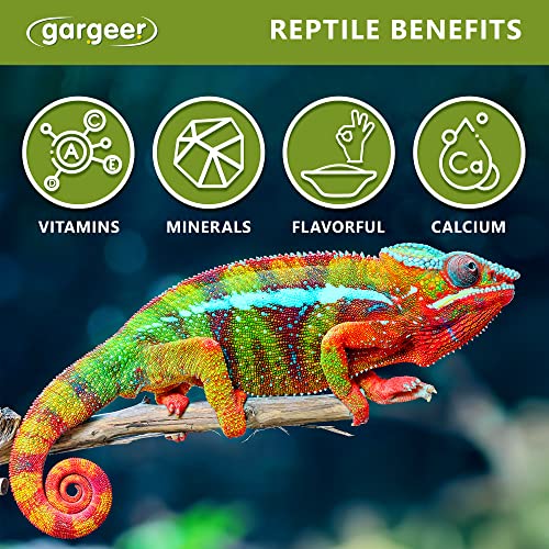 2oz All Reptiles Color Enhancer. Boost Colors & Health