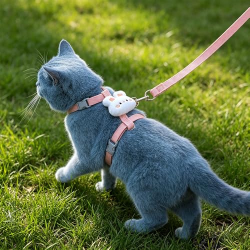Cat Harness and Leash Set (B / Middle)