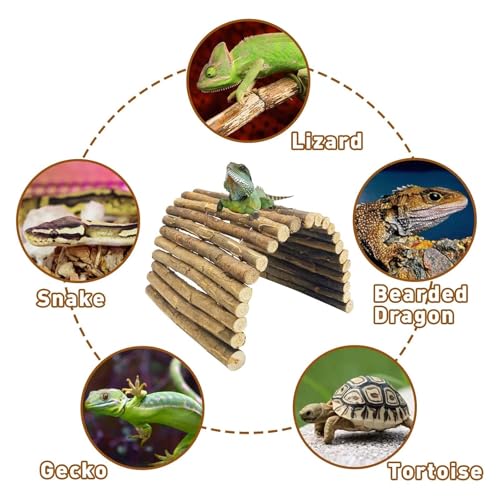 2PCS Reptile Hideout Wooden Bridge 12.99"x 18.89" Lizard Hide Caves Bearded Dragon Habitat Accessories for Gecko Snake Frog Chameleon Iguana Tortoise