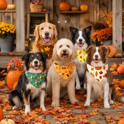 200 Pcs Fall Dog Bandanas Bulk Autumn Leaf Pumpkin Acorn Mushroom (Orange, Yellow,White / Rustic Fall)