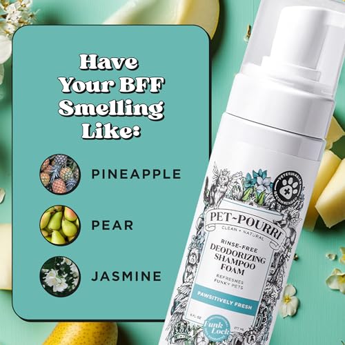 Rinse Free Deodorizing Dry Shampoo for Dogs & Cats (6 ounces)