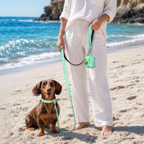 Soft Padded Dog Collar for Small Dogs (Teal / S:Fit 10-15" Neck, Width ⅝")