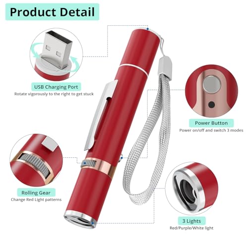 Cat Toys with Metal Case (Red)