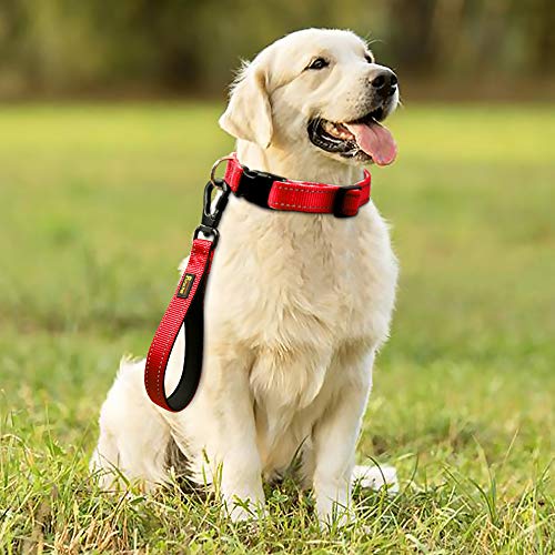 10” Short Dog Leash (Red / 10 Inch (Pack of 1))