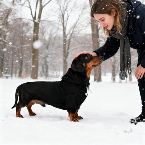 Dachshund Dog Hoodie (Dachshund Black / X-Large)