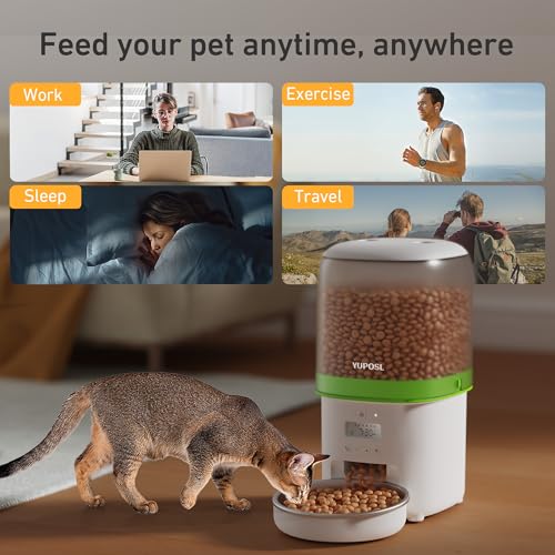 Automatic Cat Feeder (Transparent)