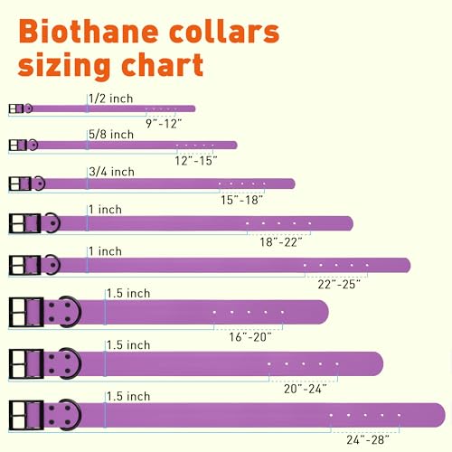 Biothane Waterproof Dog Collar Strong Coated Nylon Webbing with Black Hardware Odor (W1" x L22"-25" / Amethyst Purple)