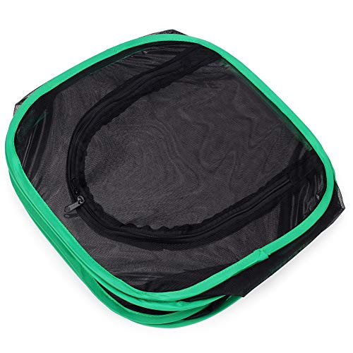 Insect and Butterfly Habitat Cage Terrarium Pop (Black With Green / 12 x 12 x 12 inches)