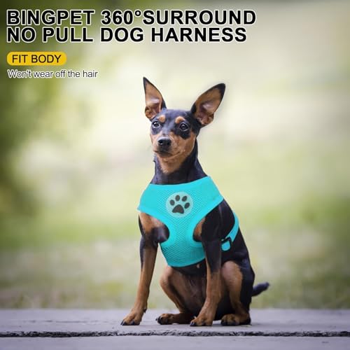 Small Dog Harness (S (NECK: 12", CHEST: 14"-18") / Royal Blue)