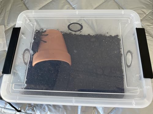 2pcs Large Reptile Feeding Box Snake Breeding Box Plastic Reptile Tank for Sling