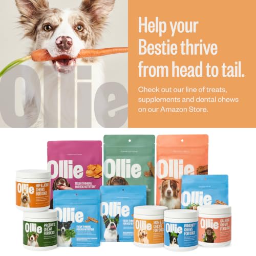 Zoomies Hip & Joint Supplement