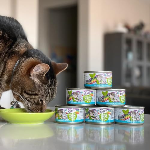 B.F.F. OMG Best Feline Friend Oh My Gravy! (5.5 Ounce (Pack of 8))