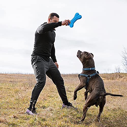 Dog Toys for Aggressive Chewers (Large / Bone-Blue)