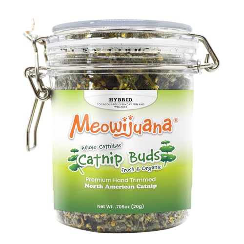 Dried Catnip Buds Jar for Cats