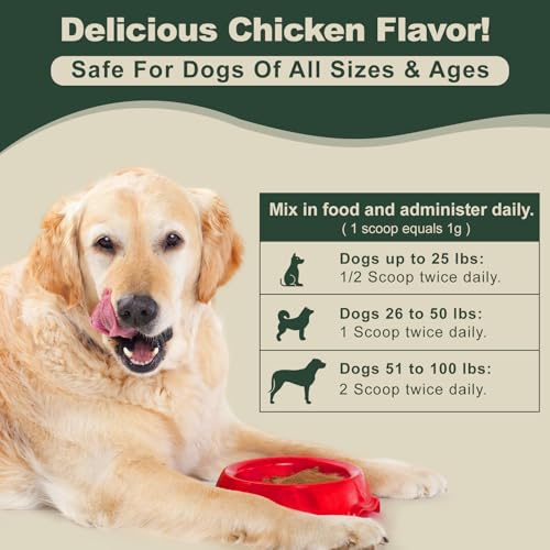 Quick Stop Bleeding for Dogs