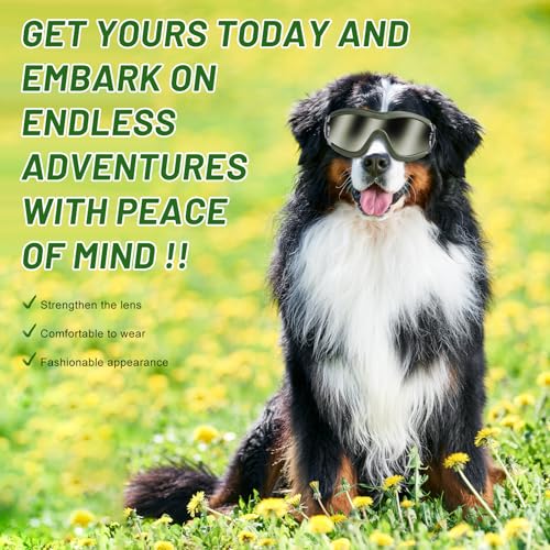 Dog Sunglasses Goggles