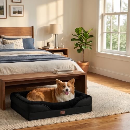 Orthopedic Dog Bed for Medium Dog (Black / 35x22x6.5)