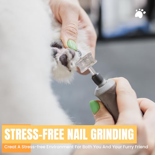 Diamond Dog Nail Grinder Bit (1pcs-80Grit)