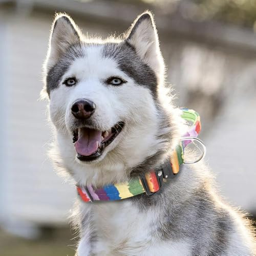 Tactical Dog Collar (Multicolor Gradient - Handle Style / Large: 17.5-24.5 inch neck girth (with handle))