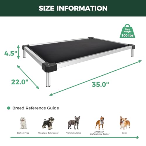 TitanNest Padded Chew (Black / Small Dog (35.0"L x 22.0"W x 4.5"H))