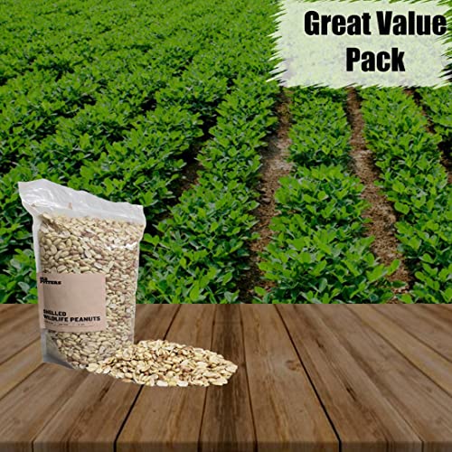 Wildlife Shelled Peanuts (5 Pound (Pack of 1) / Shelled)