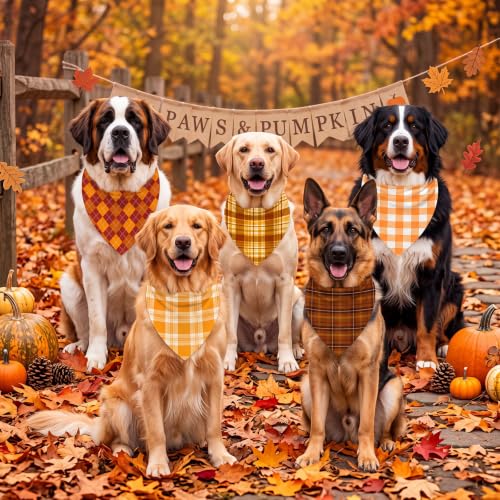 50 Pcs Fall Plaid Dog Bandanas Bulk Autumn Gingham Check Pattern (31.5 x 21.7 x 21.7 Inch / Fall Plaid)