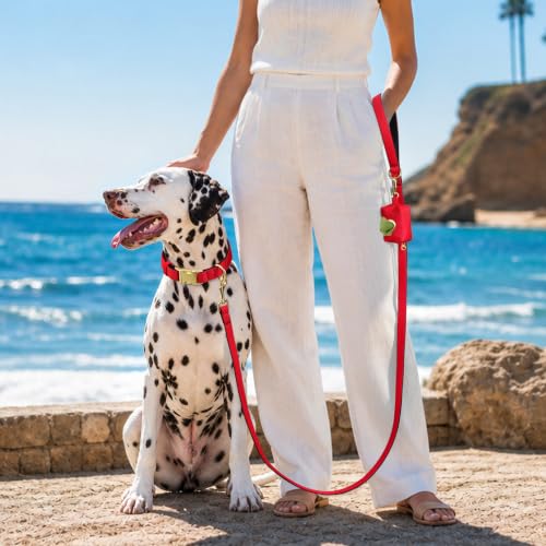 Soft Padded Dog Collar for Large Dogs (Red / L:Fit 16-22" Neck, Width 1")