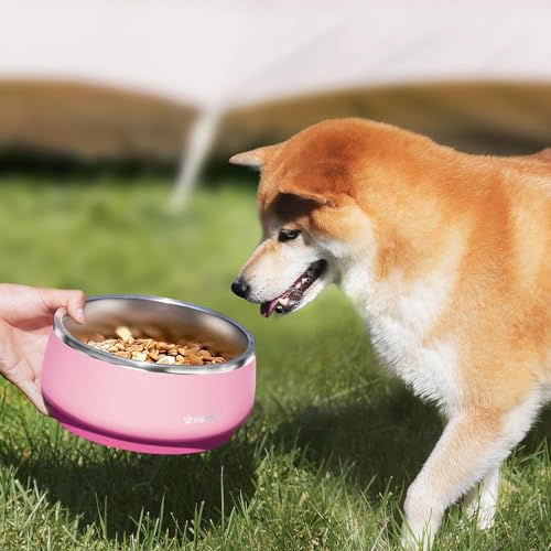 Dog Bowl 34 oz Stainless Steel Food and Water Bowl (34oz / Sakura Pink)