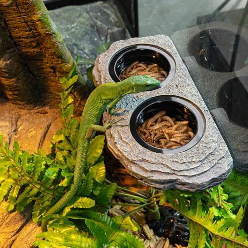 Wacool Magnetic Gecko Ledge (Dual slots)