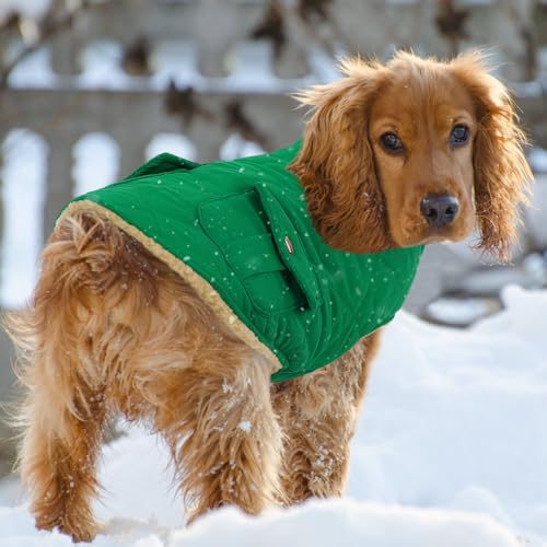 Warm Dog Coat Cold Weather Puffer Vest Quilting Winter Jacket (Small / Forest Green)