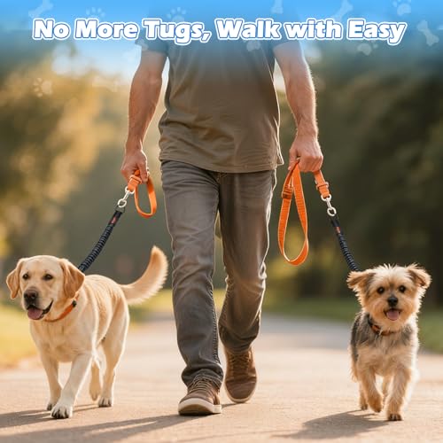 Bungee Dog Leash Extender (Black)