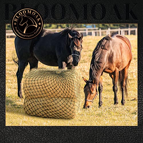Bloomoak Slow Hay Net Feeder for Horses (2 String-1.6" Hole-Ultra Slow Feed/1PC)