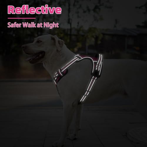 No Pull Dog Harness for Large (Fuschia / X-Large)