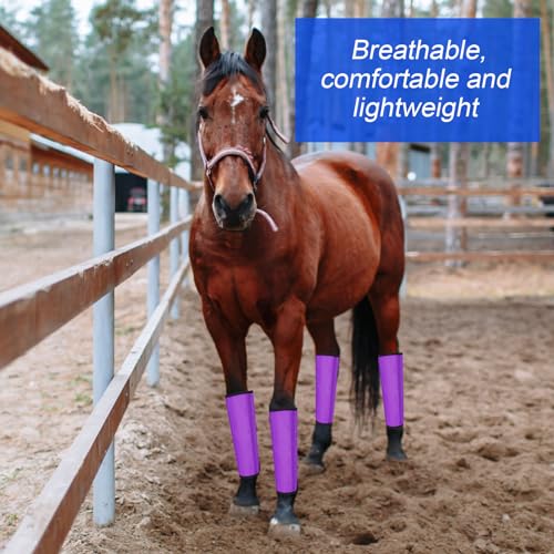 8 Pcs UV Mesh Horse Fly Boots (Dark Purple, Light Purple)