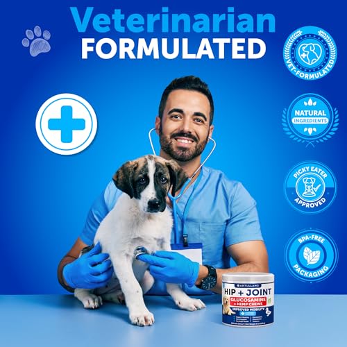 Hip and Joint Supplement Dogs (8 oz)