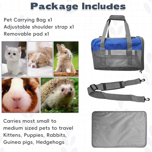 Bunny Carrier for Travel Camping Outdoor (Blue & Gray)
