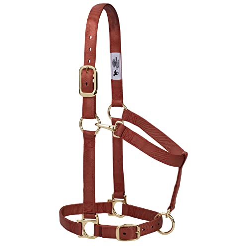 Nylon Horse Halter (Cinnamon / 1" Average Horse)