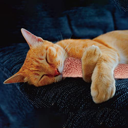 2 Pack Natural Interactive Catnip & Silvervine Cat Kicker with Tail