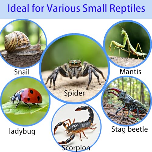 Acrylic Jumping Spider Enclosure (A1)