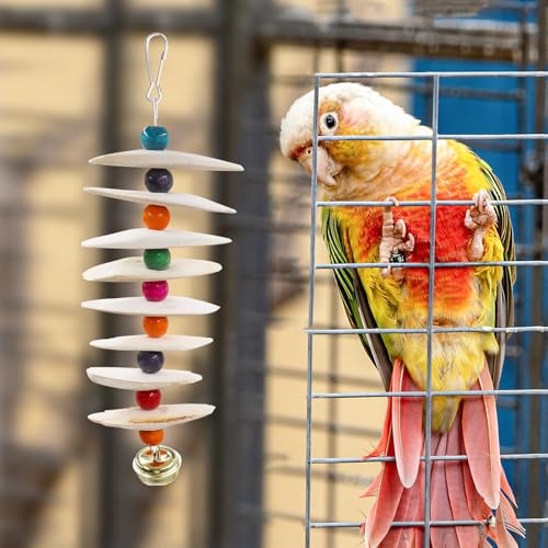 2 Pack Bird Toys with Cuttlebone (Large)