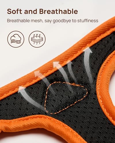 Upgraded Cat Harness and Leash Set (Orange King of The Jungle / XS)