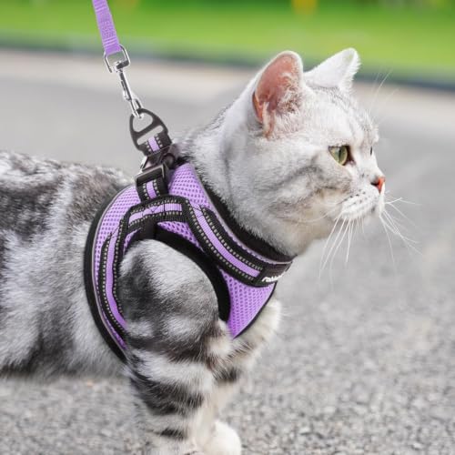 Cat Harness and Leash Set (L / Light Purple)