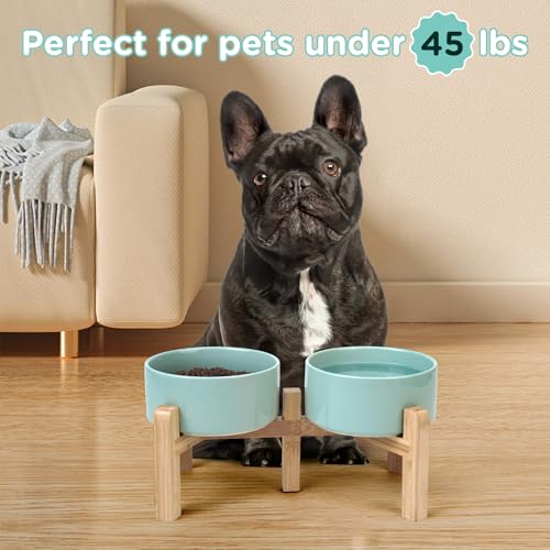 Elevated Dog Bowls Ceramic (6.1 in - 3.6 cups / Light Green)